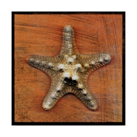 John W. Golden 'Armored Starfish' Canvas Art,14x14